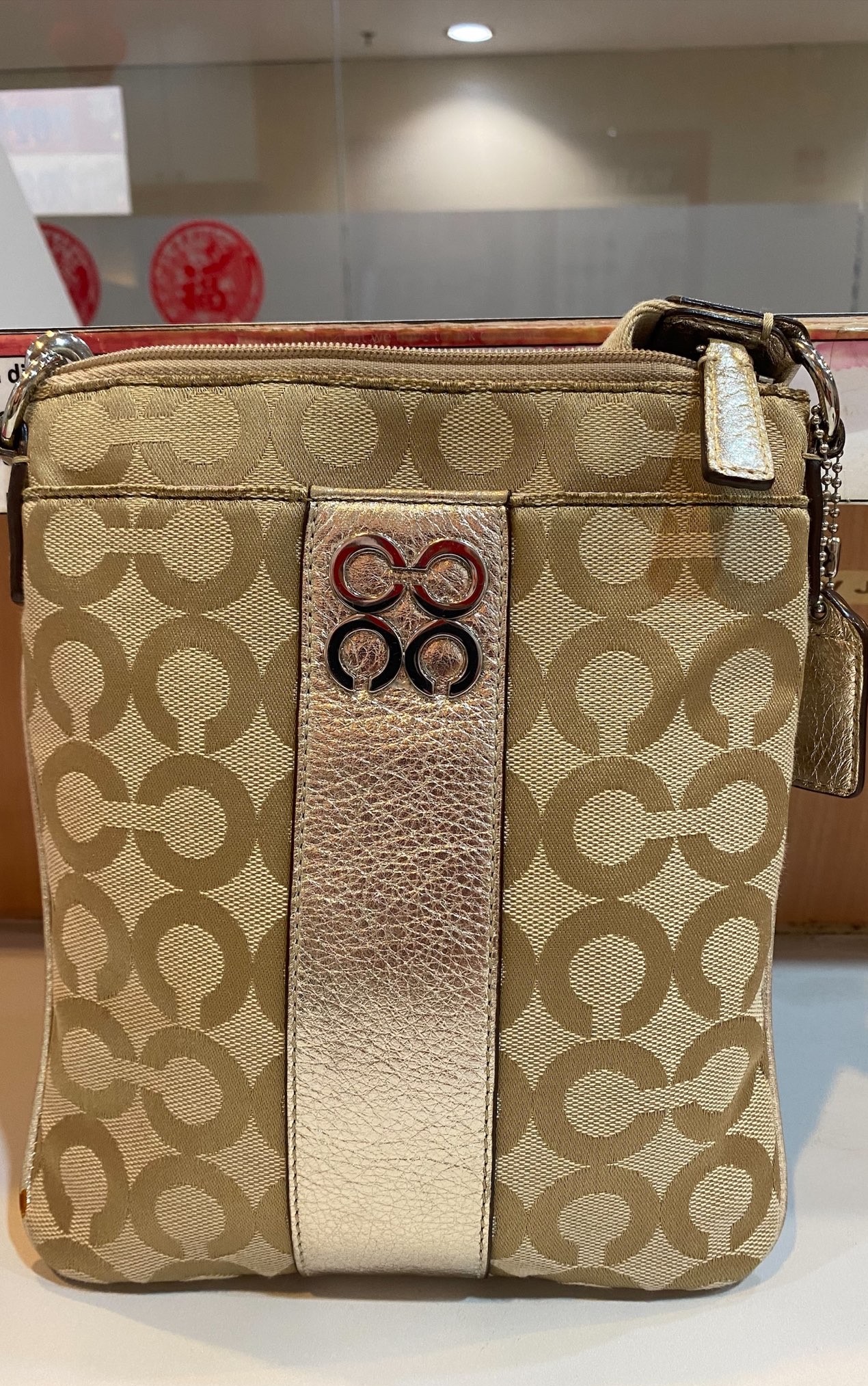 Coach Julia Pot Art Swing